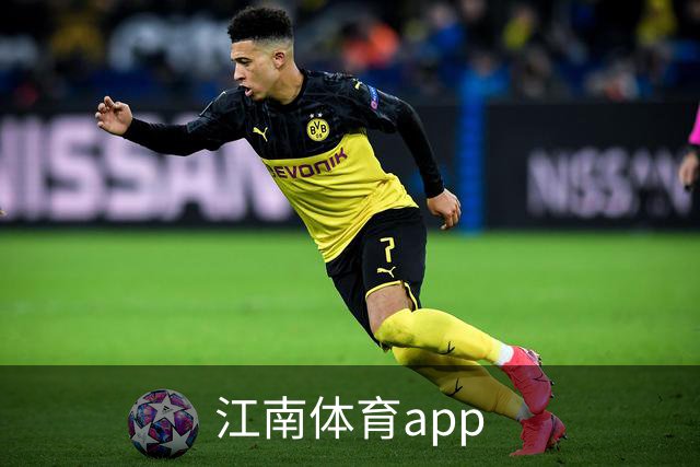 江南体育app公司介绍图片